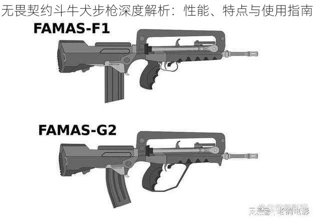 无畏契约斗牛犬步枪深度解析：性能、特点与使用指南