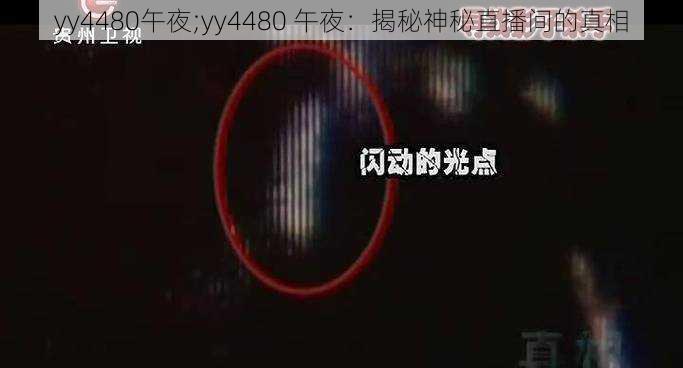 yy4480午夜;yy4480 午夜：揭秘神秘直播间的真相