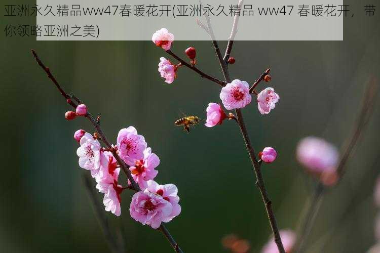 亚洲永久精品ww47春暖花开(亚洲永久精品 ww47 春暖花开，带你领略亚洲之美)