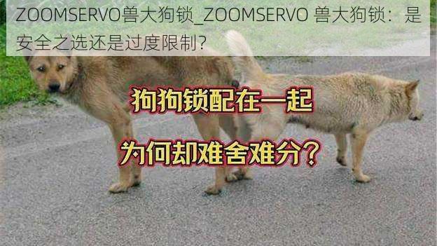 ZOOMSERVO兽大狗锁_ZOOMSERVO 兽大狗锁：是安全之选还是过度限制？