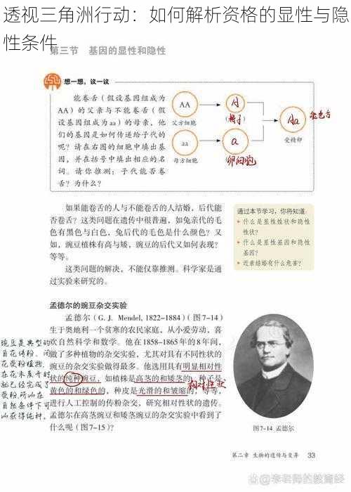 透视三角洲行动：如何解析资格的显性与隐性条件