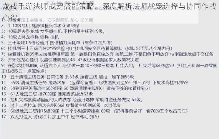 龙戒手游法师战宠搭配策略：深度解析法师战宠选择与协同作战心得