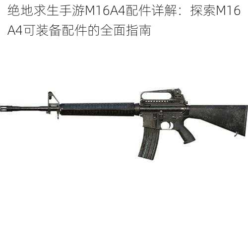 绝地求生手游M16A4配件详解：探索M16A4可装备配件的全面指南