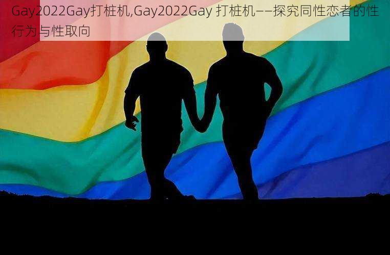 Gay2022Gay打桩机,Gay2022Gay 打桩机——探究同性恋者的性行为与性取向