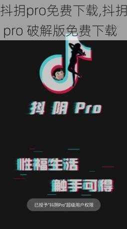 抖抈pro免费下载,抖抈 pro 破解版免费下载