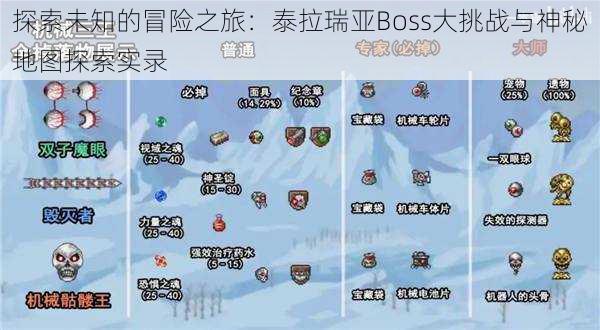 探索未知的冒险之旅：泰拉瑞亚Boss大挑战与神秘地图探索实录