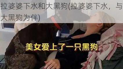 拉婆婆下水和大黑狗(拉婆婆下水，与大黑狗为伴)