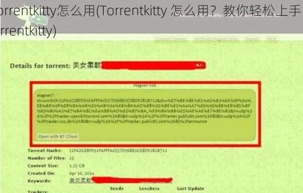 torrentkitty怎么用(Torrentkitty 怎么用？教你轻松上手 Torrentkitty)