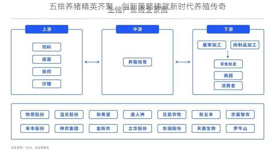 五排养猪精英齐聚，创新策略铸就新时代养殖传奇