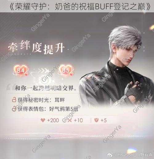 《荣耀守护：奶爸的祝福BUFF登记之巅》