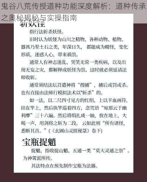 鬼谷八荒传授道种功能深度解析：道种传承之奥秘揭秘与实操指南