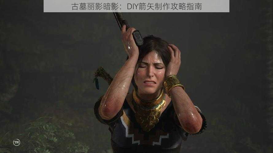 古墓丽影暗影：DIY箭矢制作攻略指南