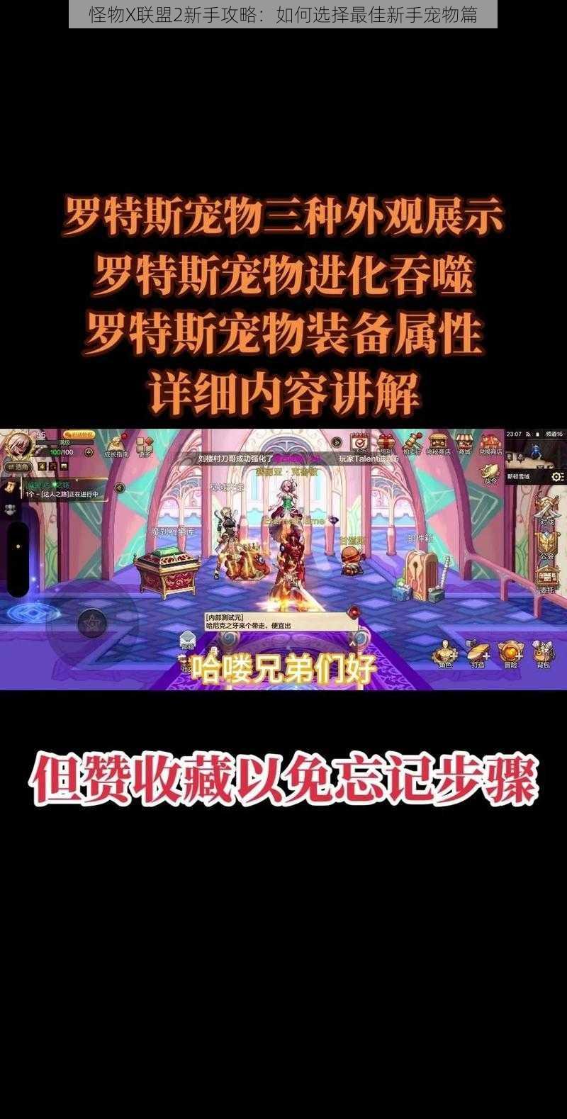 怪物X联盟2新手攻略：如何选择最佳新手宠物篇