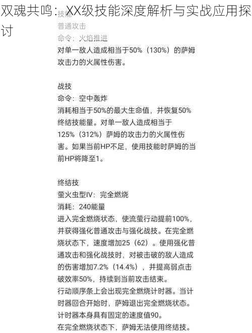 双魂共鸣：XX级技能深度解析与实战应用探讨