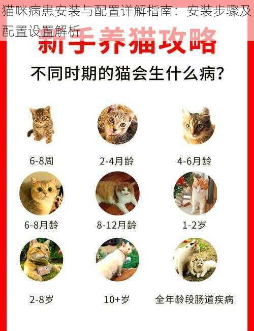 猫咪病患安装与配置详解指南：安装步骤及配置设置解析